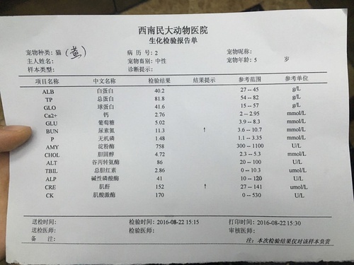 肌酐高喝什么茶降肌酐知道：血肌酐高和肌酐高的泡水喝法及适合的茶饮推荐