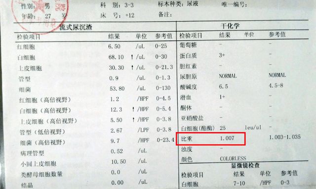 降肌酐的天然秘方：一味助您有效控制肾功能，改善血肌酐水平