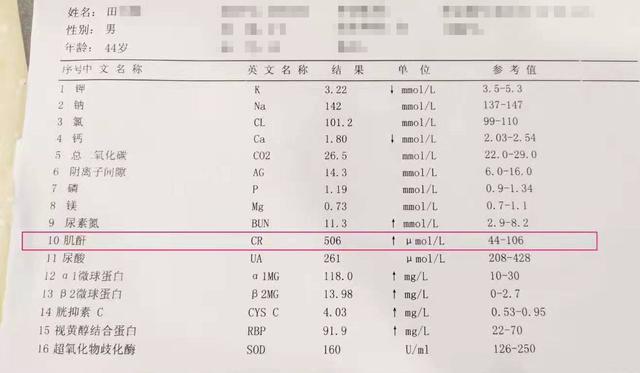 降肌酐的天然秘方：一味助您有效控制肾功能，改善血肌酐水平