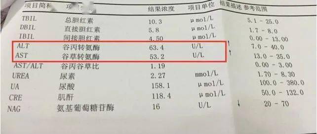 肌酐高怎么降？喝什么茶可以有效降低肌酐？探讨多种方法与推荐茶叶