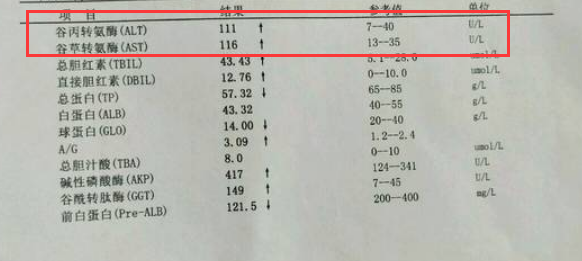 肌酐高怎么降？喝什么茶可以有效降低肌酐？探讨多种方法与推荐茶叶