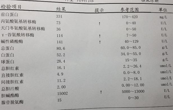 肌酐高怎么降？喝什么茶可以有效降低肌酐？探讨多种方法与推荐茶叶