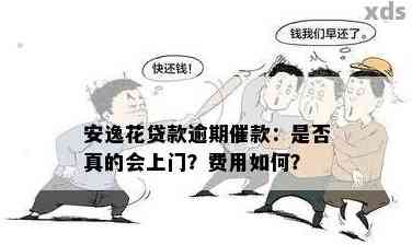 分来期逾期后果怎么样及相关问题解答