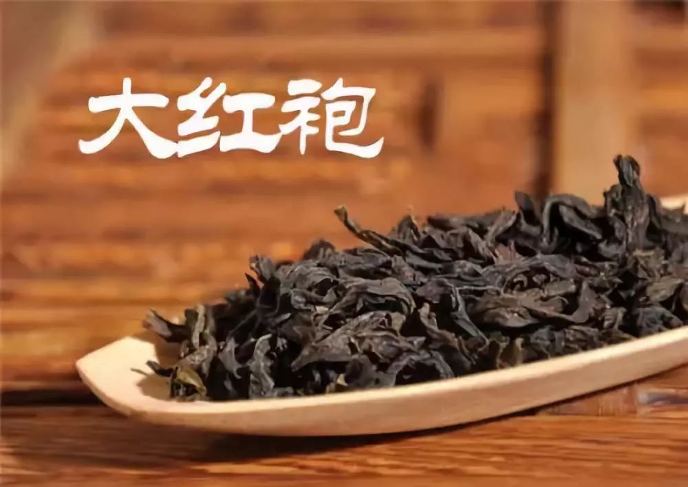 丹丛茶叶属于什么茶种