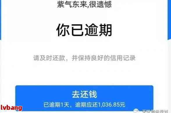 花呗逾期调解成功怎么办及相关问题