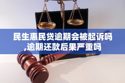 民贷逾期有起诉的吗