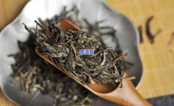 云南普洱茶：生茶、熟茶的独特区别及其口感对比