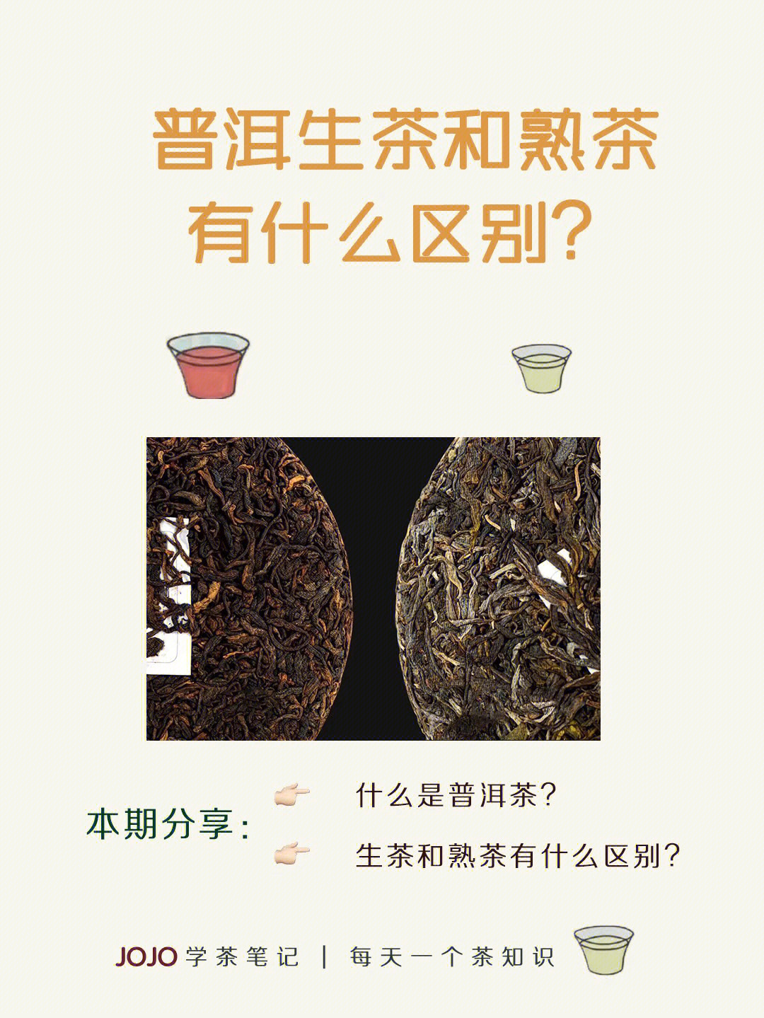 潽洱生茶与熟茶