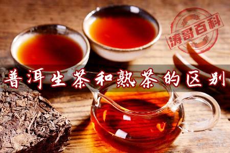 潽洱生茶与熟茶