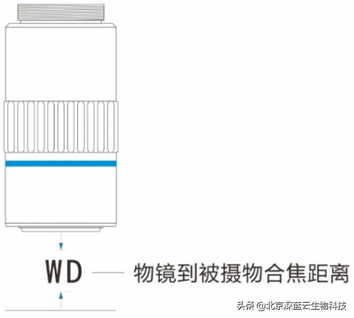 翡翠手镯切片厚度选择建议