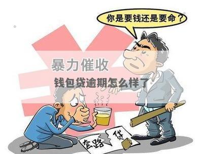 聚宝钱包贷款不还会有什么后果