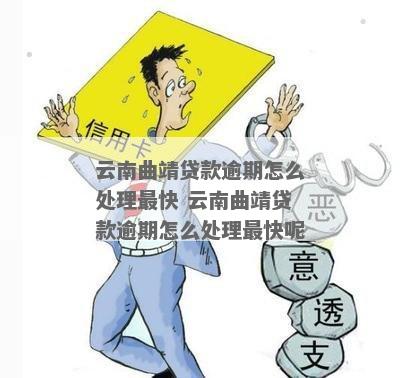 云南企业负债逾期处理律师如何选择