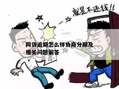 网贷逾期如何去协商分期改善信用