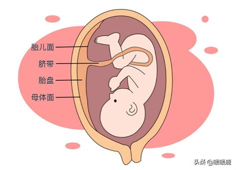 人人信借条超过几天算逾期