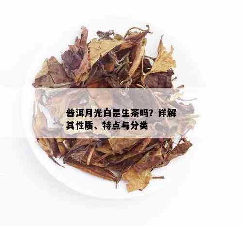 月光白普洱茶：究竟是白茶还是普洱茶？解答你所关心的所有问题