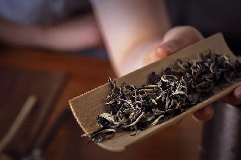 月光白普洱茶：究竟是白茶还是普洱茶？解答你所关心的所有问题