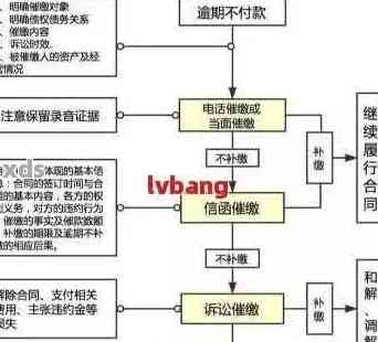 即分期逾期流程详解