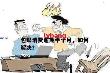 包银消费金融逾期会被起诉吗怎么处理