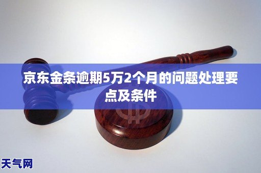 京东金条两个月逾期怎么办解决方案