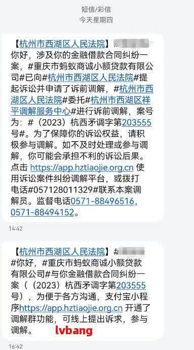 欠网贷被起诉后怎么还款方式选择