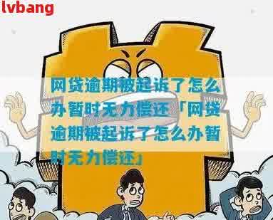 网贷逾期无力偿还律师如何解答