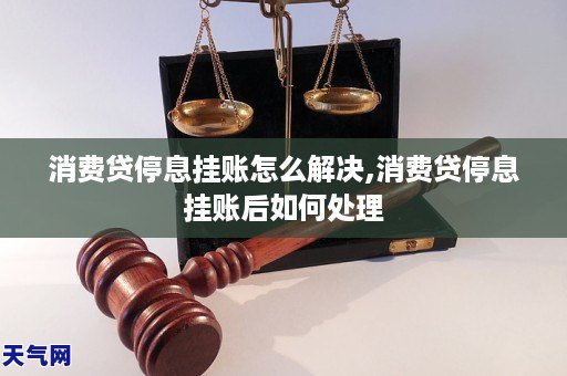 南银法巴消费金融停息挂账如何处理