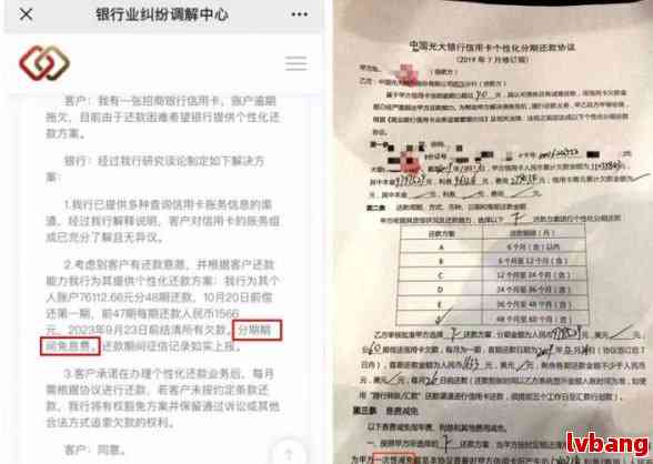 南银法巴消费金融停息挂账如何处理