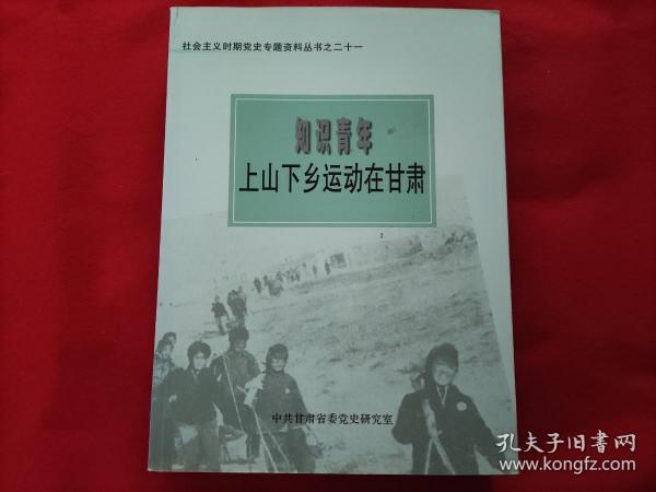 探索上山下乡：全面了解活动、历背景、参与方式与收获的百科全书