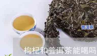 枸杞能与普洱茶泡喝吗：探究枸杞与普洱茶同时泡水的可能性