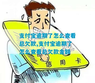 支付宝逾期欠款次数查询