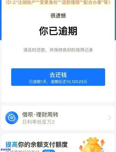 支付宝逾期欠款次数查询