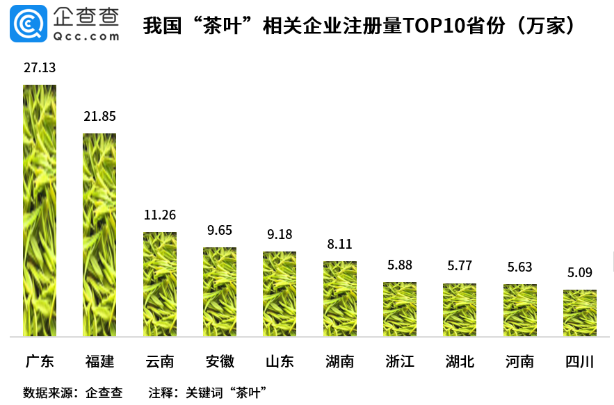 三年为茶七年为宝十年为药：传统制作与使用周期