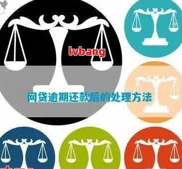 所有网贷都逾期了怎么办教你一招解决方法