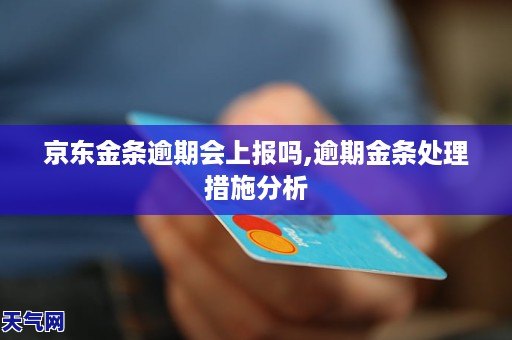 金东金条逾期8次怎么办