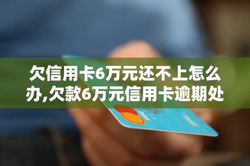 多张信用卡欠款50万元如何处理