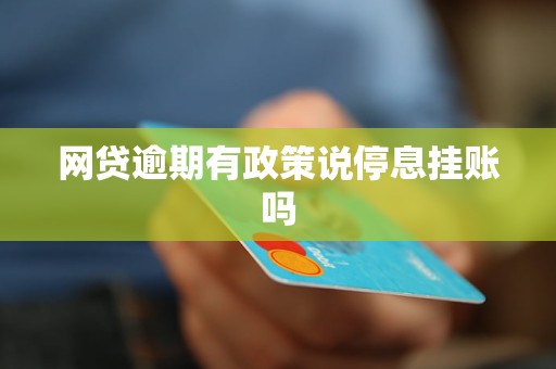 网贷停息挂账什么意思呢