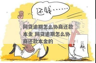 贷款逾期了怎么办理还本金