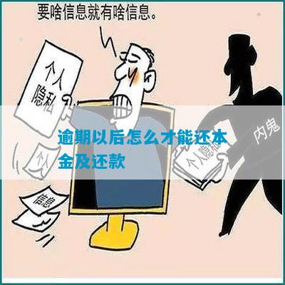 贷款逾期了怎么办理还本金