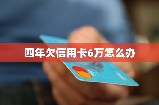 老公信用卡欠款6万怎么办