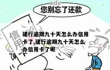 建设银行信用卡逾期会有哪些后果