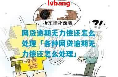 月津津南网贷逾期无力偿还应该怎么处理