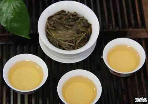 白茶、绿茶、普洱茶：哪种茶叶更适合你？对比三种茶叶的特色与口感