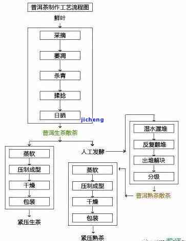 普洱茶生茶茶饼加工工艺流程