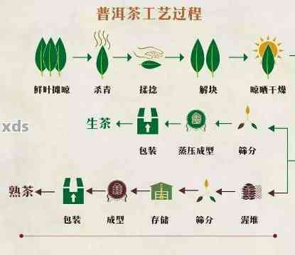 普洱茶生茶茶饼加工工艺流程