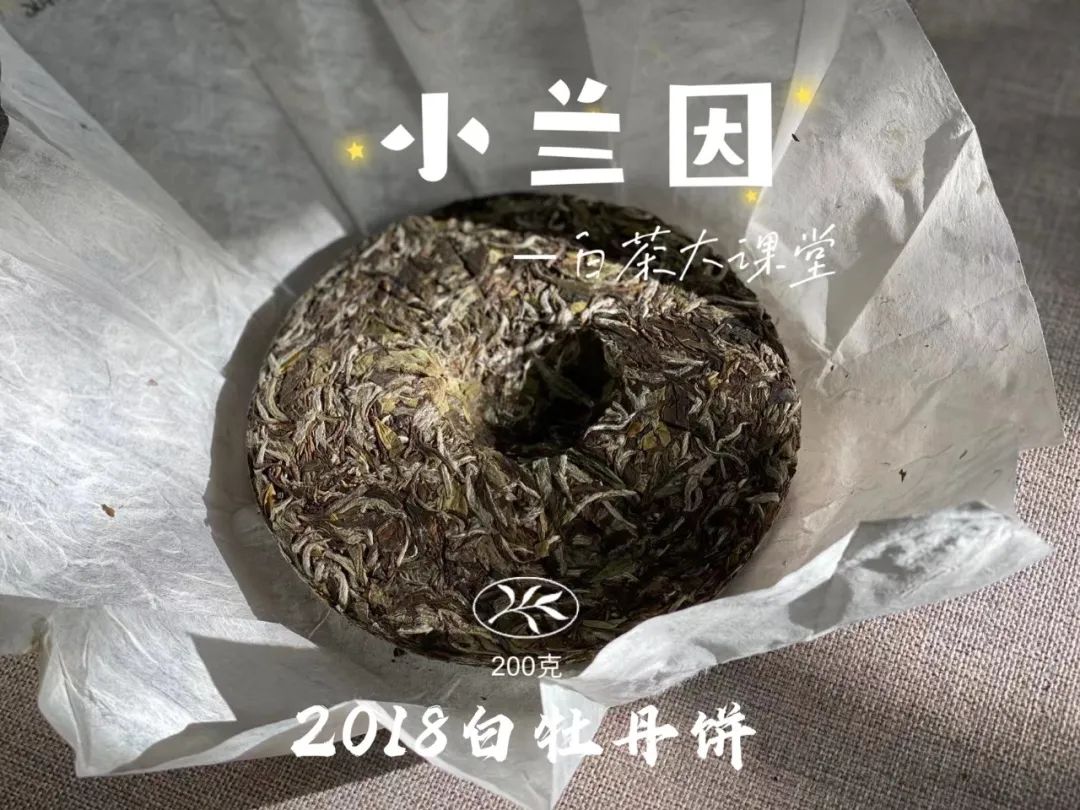 新 探索普洱生茶茶饼的完美冲泡方式：步骤、技巧与品鉴