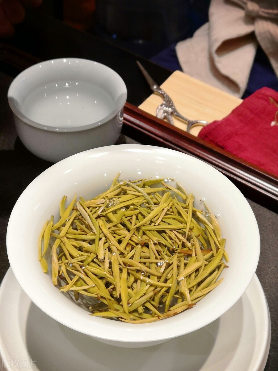 深入解析茶的种类及其特点：从绿茶、红茶到乌龙茶，一网打尽！