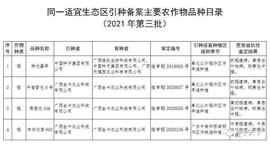 '戴玉珠子多少颗好：讲究与适宜的数量解析'