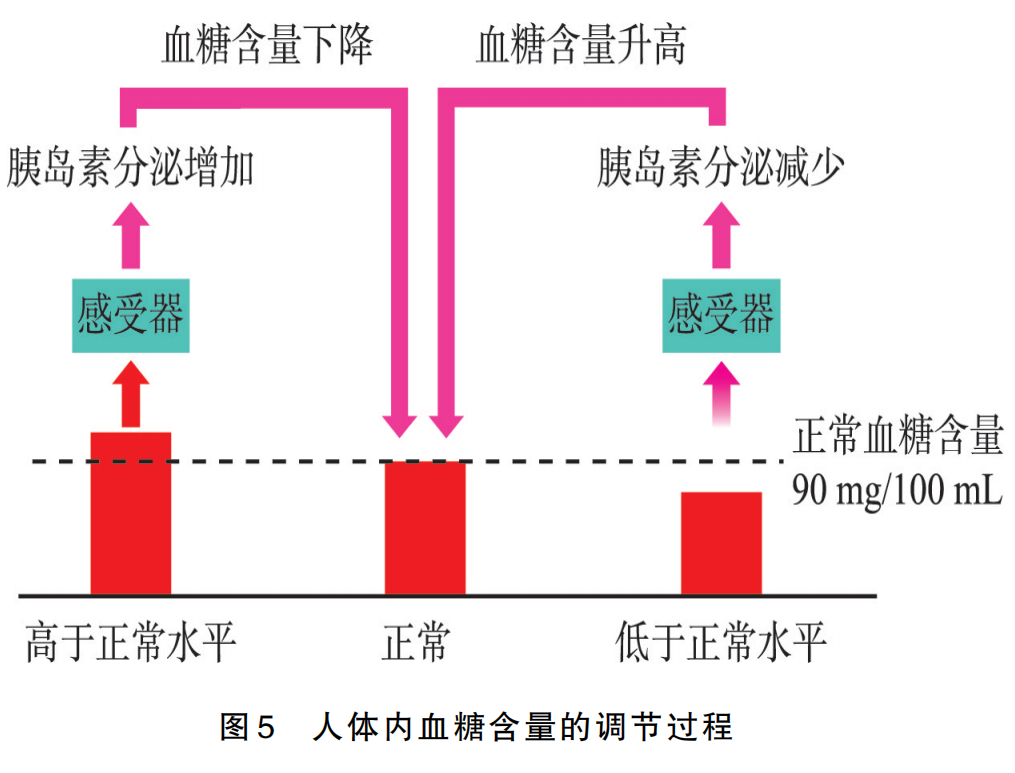 新 浣樺对佘太翠降低血糖的影响及作用机制探讨