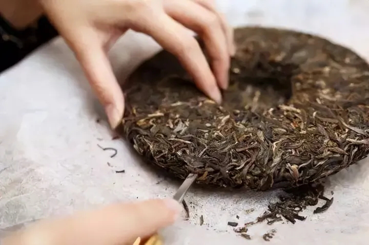 新 普洱茶饼制作过程详解：如何精准取出每一片茶叶