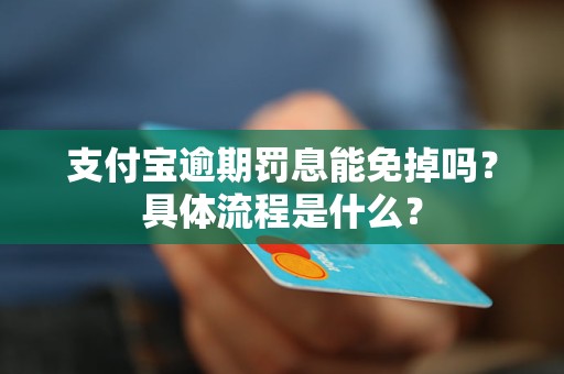 支付宝罚息太高了可以减免吗